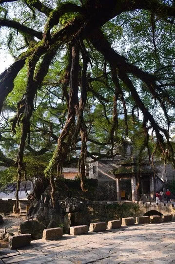 博皓游記 | 夏風微醺的綺夢，領(lǐng)略賀州黃姚古鎮(zhèn)、姑婆山閑憩之美-12