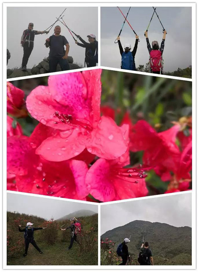 3月29日，云浮新興縣登天麓山&賞杜鵑花