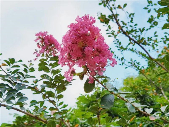 呼吸鮮氧，踐行公益——廣東博皓公益活動(dòng)：星溪線公益環(huán)?；顒?dòng)   -5