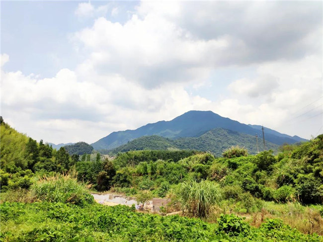 呼吸鮮氧，踐行公益——廣東博皓公益活動(dòng)：星溪線公益環(huán)保活動(dòng)   -6