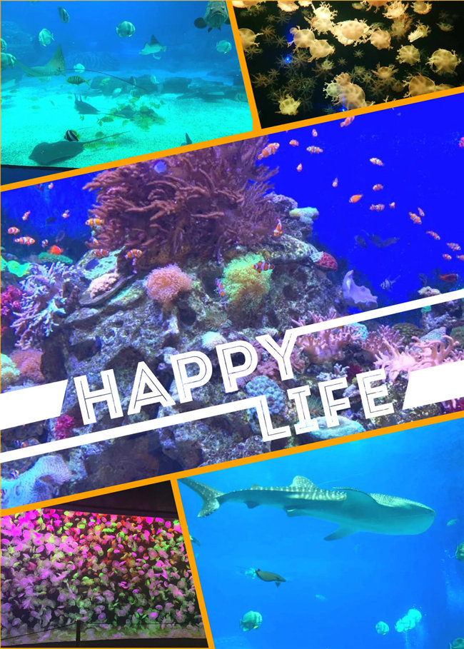 廣東博皓親子游：珠海長隆海洋王國，探索海洋生物的奧秘，奇妙的動物世界