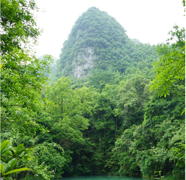 賞華夏大地，游多彩貴州-－2021年廣東博皓快樂行-2