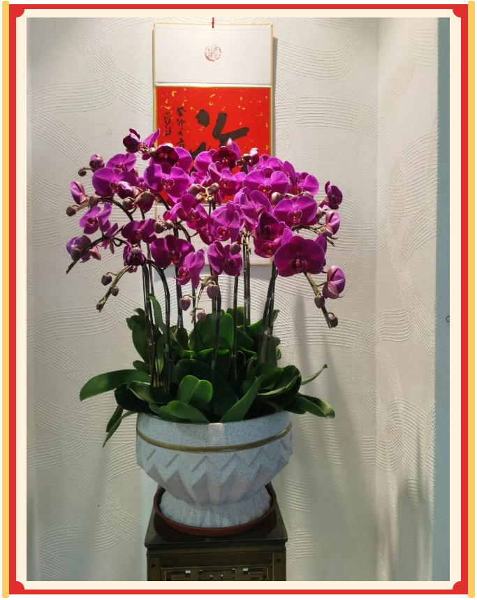 廣東博皓開工大吉丨金虎騰躍，兔來運(yùn)轉(zhuǎn)           -23