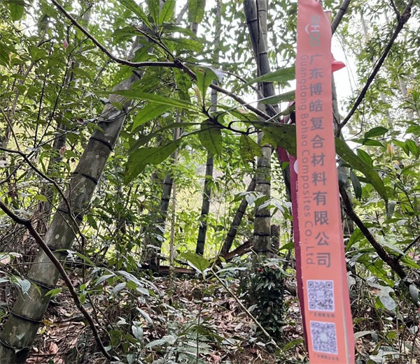 凝心聚力再出發(fā)，風雨同舟赴星溪！--廣東博皓2024龍年首登星溪之旅     -2