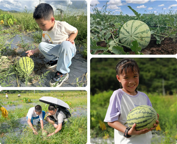 趣游盛夏，一路童行—2024年廣東博皓親子游   -12