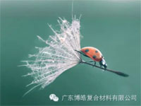 【博皓感悟】成功，要“借力”，不要“盡力”