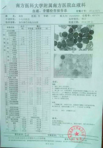 高俊的血液、骨髓檢查報(bào)告單