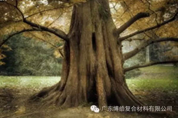 【博皓感悟】欲為大樹，莫與草爭(zhēng)-4