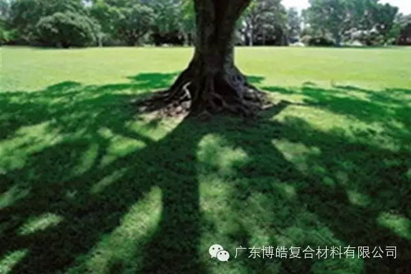 【博皓感悟】欲為大樹，莫與草爭(zhēng)-6