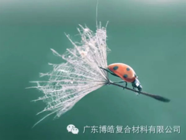 【博皓感悟】成功，要“借力”，不要“盡力”
